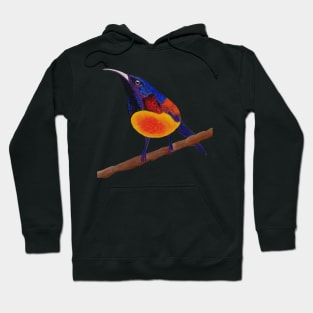 Green-tailed sunbird Hoodie